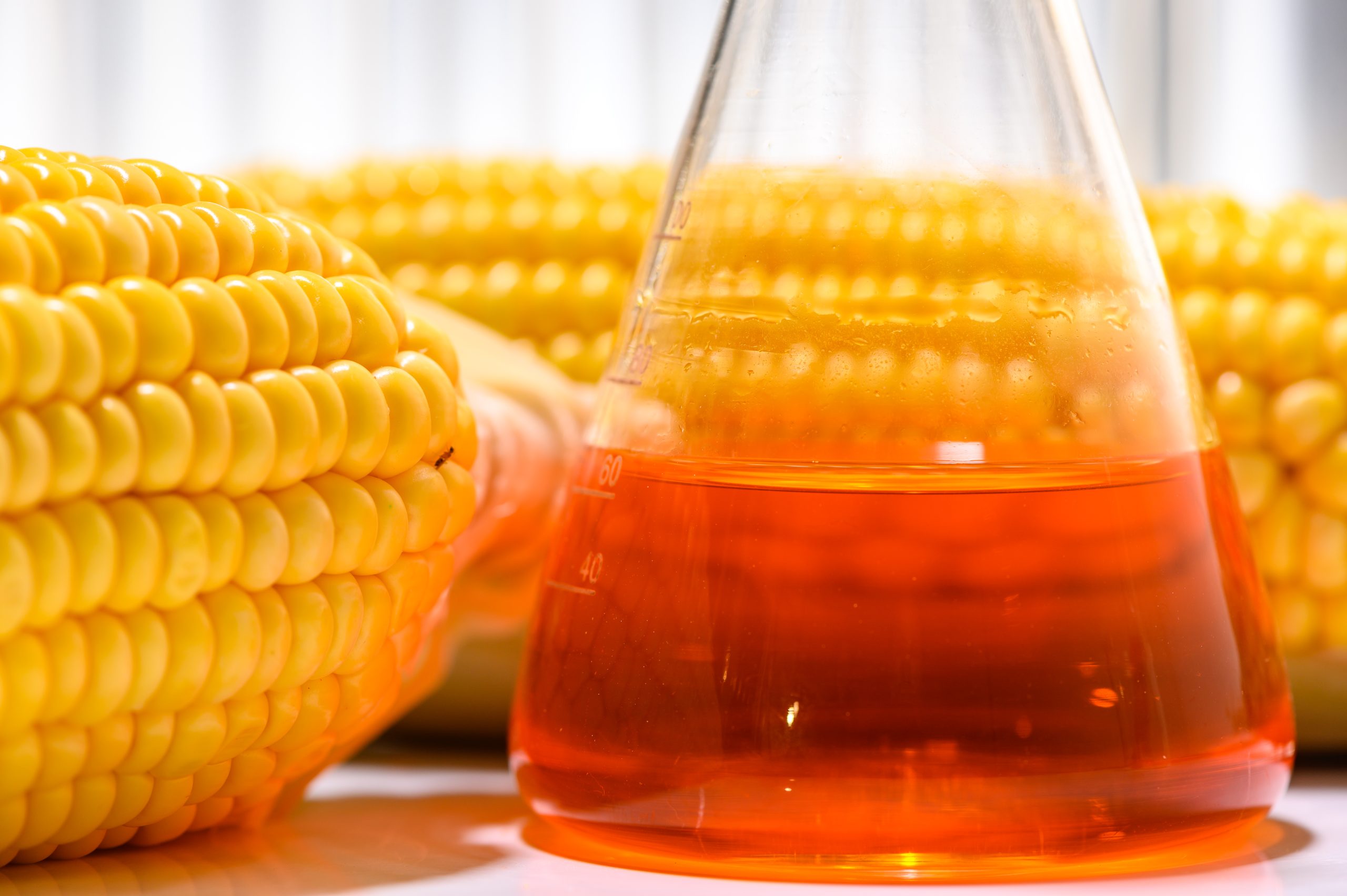 前沿应用|低场核磁共振技术用于生物乙醇生产工艺评价